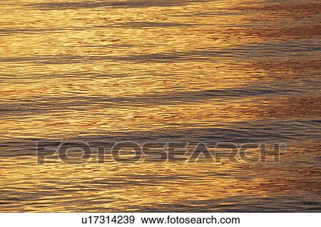 Water surface at dawn, Shiga Prefecture, Honshu, Japan View Large Photo Image Stock Photo - Water surface at dawn, Shiga Prefecture, Honshu, Japan. Fotosearch