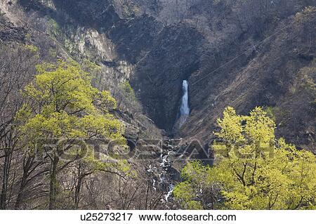 Stock Photo - Waterfall in the Valley. Fotosearch
