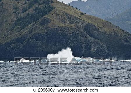 Stock Photo - Waves Crashing on Shore. Fotosearch