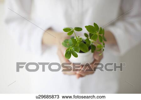 Stock Image - Woman Holding Potted Plant. Fotosearch