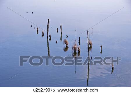 Wooden Posts in Calm Water View Large Photo Image Stock Photography - Wooden Posts in Calm Water. Fotosearch