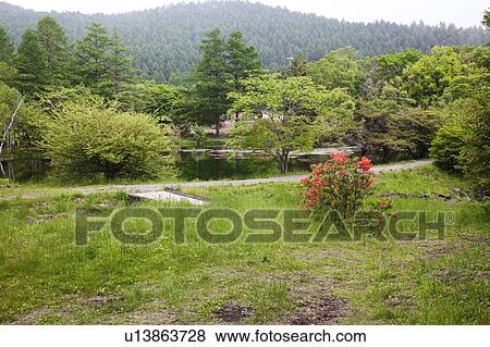 Yachiho highland, Nagano Prefecture, Honshu, Japan View Large Photo Image Stock Photo - Yachiho highland, Nagano Prefecture, Honshu, Japan. Fotosearch