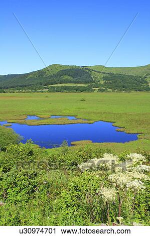 Stock Image - Yashima Marshland. Fotosearch
