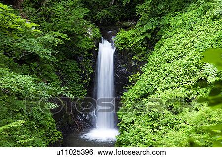 Yashya waterfall, Fukui Prefecture, Honshu, Japan View Large Photo Image Stock Photograph - Yashya waterfall, Fukui Prefecture, Honshu, Japan. Fotosearch