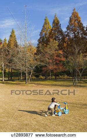 Young Boy Pushing Tricycle in Park View Large Photo Image Stock Photo - Young Boy Pushing Tricycle in Park. Fotosearch