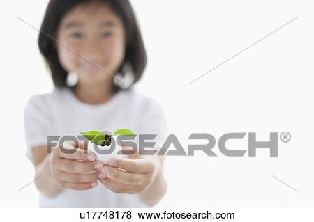 Young Girl Holding Sprout in Eggshell, Focus on Foreground View Large Photo Image Stock Photo - Young Girl Holding Sprout in Eggshell, Focus on Foreground. Fotosearch