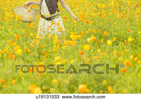 Stock Image - Young woman standing in flower field. Fotosearch
