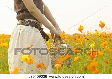 Young woman standing in flower field View Large Photo Image Stock Photograph - Young woman standing in flower field. Fotosearch