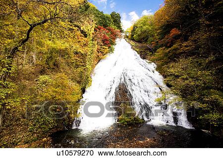 Stock Image - Yudaki waterfall in autumn, low angle view, Tochigi Prefecture, Honshu, Japan. Fotosearch