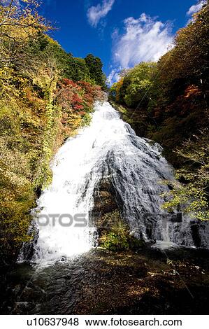 Stock Photo - Yudaki waterfall in autumn, low angle view, Tochigi Prefecture, Honshu, Japan. Fotosearch