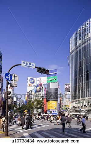 Picture - Zebra crossing in front of Shibuya train station, Shibuya Ward, Tokyo Prefecture, Honshu, Japan. Fotosearch