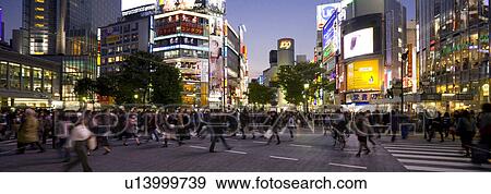 Zebra crossing in front of Shibuya train station, Shibuya Ward, Tokyo Prefecture, Honshu, Japan View Large Photo Image Stock Photo - Zebra crossing in front of Shibuya train station, Shibuya Ward, Tokyo Prefecture, Honshu, Japan. Fotosearch