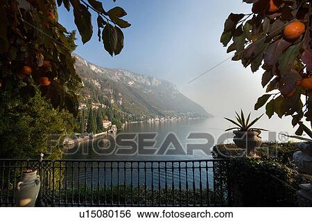 Aerial view from balcony of Villa Cipressi, surrounded by persimmon trees, with hanging fruit, overlooking Lake Como and mountain slope with Villa Monastero in distance on sunny autumn afternoon, Lake Como, Northern Italy View Large Photo Image Stock Photograph - Aerial view from balcony of Villa Cipressi, surrounded by persimmon trees, with hanging fruit, overlooking Lake Como and mountain slope with Villa Monastero in distance on sunny autumn afternoon, Lake Como, Northern Italy. Fotosearch