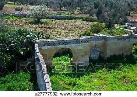 Stock Image - Aerial view of olive groves and fields of deserted monastery ruin, with arched wall, sunny spring afternoon, Salento, Puglia, Southern Italy. Fotosearch