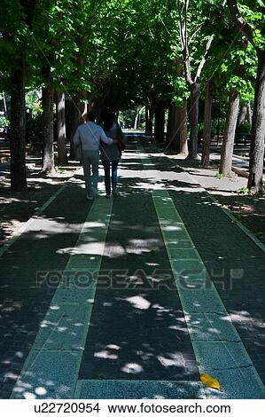 Picture - Back view of male and female couple with motion blur, walking in park, avenue lined by trees, paved with white lines, dappled sunlight, Lecce, Puglia, Southern Italy. Fotosearch