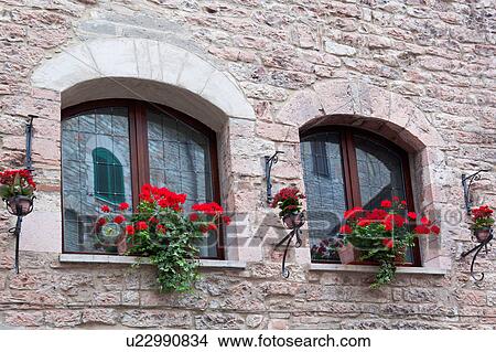 Close up view of double arched window of medieval stone palace with decorative red geraniums on window sills, and traditional wrought iron torches beside, on sunny afternoon, Assisi, Umbria, Italy View Large Photo Image Picture - Close up view of double arched window of medieval stone palace with decorative red geraniums on window sills, and traditional wrought iron torches beside, on sunny afternoon, Assisi, Umbria, Italy. Fotosearch