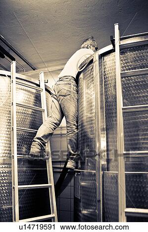 Stock Image - Desaturated view from rear of man at top of ladder, checking metal containers of wine "antique faded" image, Italy. Fotosearch