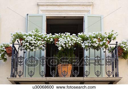 Stock Image - Detail view of open, pale green-shuttered doorway of Renaissance palace opening onto wrought iron decorative balcony with flowers, Montefalco, Umbria, Italy. Fotosearch