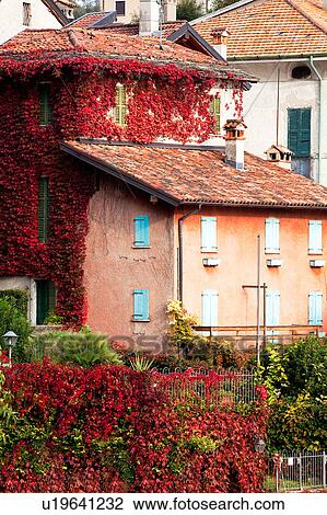 Stock Image - Detail view of Ossuccio village houses seen from shoreline of Lake Como, ivy turning red in autumn pale afternoon sunlight, Northern Italy. Fotosearch