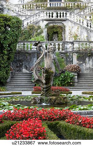 Detail view of Villa Carlotta ornamental gardens, terraced stairways, fountain with statue and waterlilies, flowerbeds of red begonias, Lake Como, Northern Italy View Large Photo Image Stock Photo - Detail view of Villa Carlotta ornamental gardens, terraced stairways, fountain with statue and waterlilies, flowerbeds of red begonias, Lake Como, Northern Italy. Fotosearch