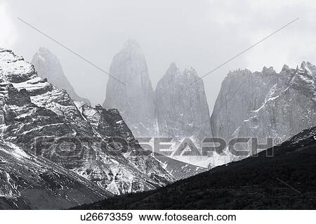 Monochrome view of snow covered Las Torres mountain range, with foreground hills and beech trees with autumn foliage, Torres del Paine, Southern Chile, Patagonia View Large Photo Image Stock Photo - Monochrome view of snow covered Las Torres mountain range, with foreground hills and beech trees with autumn foliage, Torres del Paine, Southern Chile, Patagonia. Fotosearch