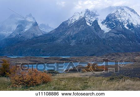 Stock Photograph - Panoram view of snow covered Los Cuernos mountains with dramatic autumn cloudscape, fall colours of trees in foreground, Torres del Paine, Southern Chile, Patagonia. Fotosearch
