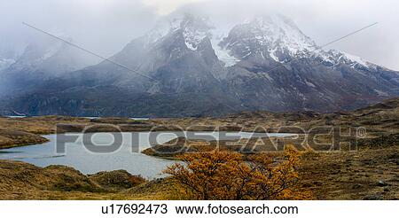 Panorama view of snow covered Los Cuernos mountains with dramatic autumn cloudscape, fall colours of trees in foreground beside Lake Nordenskjold, Torres del Paine, Southern Chile, Patagonia View Large Photo Image Stock Image - Panorama view of snow covered Los Cuernos mountains with dramatic autumn cloudscape, fall colours of trees in foreground beside Lake Nordenskjold, Torres del Paine, Southern Chile, Patagonia. Fotosearch