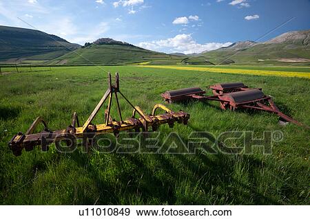 Panorama view of yellow flowering lentils in Piano Grande meadow, surrounded by mountains, late afternoon spring sunshine and blue sky, with farming implements in foreground, Umbria, Italy View Large Photo Image Stock Photo - Panorama view of yellow flowering lentils in Piano Grande meadow, surrounded by mountains, late afternoon spring sunshine and blue sky, with farming implements in foreground, Umbria, Italy. Fotosearch