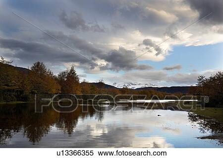Rio (River) Serrano, late afternoon light, blue sky, with clouds reflected in water, autumn colours, lenga (beech) trees, Torres del Paine, Southern Chile, Patagonia View Large Photo Image Stock Photography - Rio (River) Serrano, late afternoon light, blue sky, with clouds reflected in water, autumn colours, lenga (beech) trees, Torres del Paine, Southern Chile, Patagonia. Fotosearch