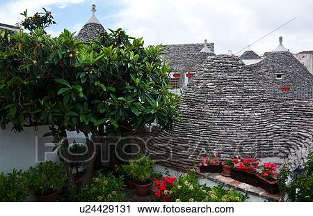Stock Image - Rooftop view: town of Alberobello, World Heritage site, with trullo houses, white painted stone with piled stone, conical roofs, terrace with red flowers and fruit tree, Puglia, Southern Italy. Fotosearch