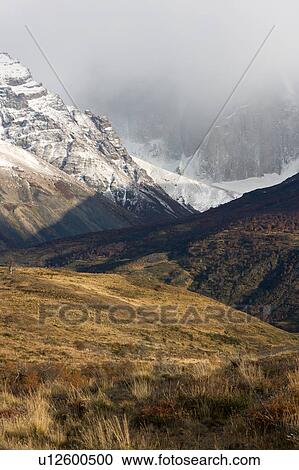 Stock Image - Snow covered mountains of Las Torres in early morning light, fall colours of scrub grasses and hills in foreground, Torres del Paine, Southern Chile, Patagonia. Fotosearch