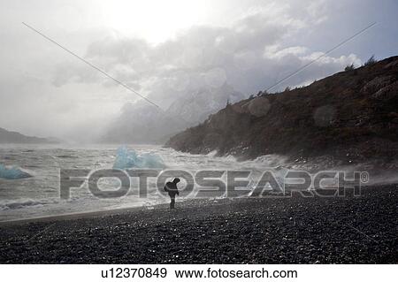 Stormy grey Lago Grey with blue iceberg fragments blown to shore in heavy winds, dramatic sky, with single person battling towalk along shore, and snow covered mountains in background, Torres del Paine, Southern Chile, Patagonia View Large Photo Image Stock Photo - Stormy grey Lago Grey with blue iceberg fragments blown to shore in heavy winds, dramatic sky, with single person battling towalk along shore, and snow covered mountains in background, Torres del Paine, Southern Chile, Patagonia. Fotosearch