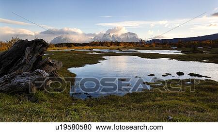 Stock Image - Sunrise view of snow covered Los Cuernos, and Towers, Torres del Paine, with dramatic clouds, beech trees in full autumn colours, River Serrano in foreground, Southern Chile, Patagonia. Fotosearch