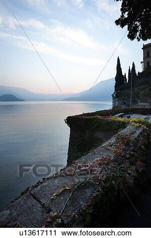 Tranquil scene overlooking Lake Como at sunset, blue and pink sky, still waters, cypress trees, wall with trailing ivy with autumn foliage, Lake Como, Northern Italy View Large Photo Image Stock Image - Tranquil scene overlooking Lake Como at sunset, blue and pink sky, still waters, cypress trees, wall with trailing ivy with autumn foliage, Lake Como, Northern Italy. Fotosearch