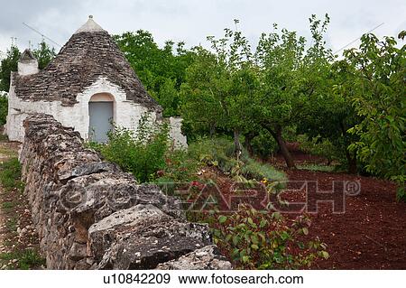 Trullo: traditional house of uncemented stones, with conical roof, stone wall beside orchard with red ploughed soil in foreground, calm spring afternoon, Locorotondo, Puglia, Southern Italy View Large Photo Image Stock Photo - Trullo: traditional house of uncemented stones, with conical roof, stone wall beside orchard with red ploughed soil in foreground, calm spring afternoon, Locorotondo, Puglia, Southern Italy. Fotosearch