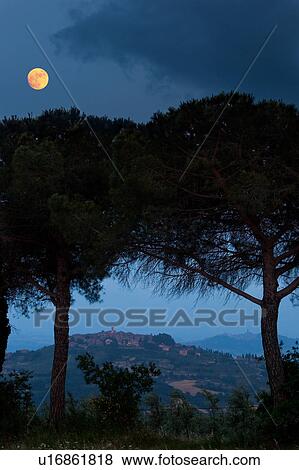 Stock Photo - Umbrian hilltop village of Montecastello di Vibio as moon rises at dusk, with pine trees silhouetted as frame, in foreground. Fotosearch
