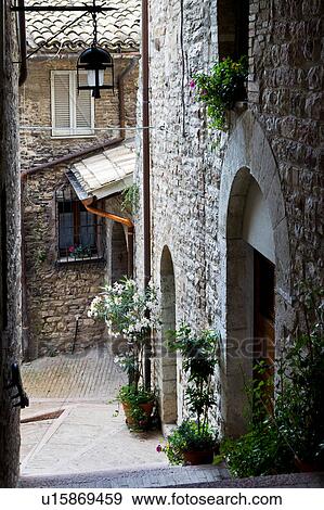 Stock Photo - View from above of stone paved street with medieval stone buildings, and decorative plants lining each side, on sunny afternoon, Assisi, Umbria, Italy. Fotosearch