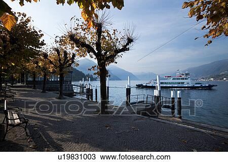 View of Bellagio lakefront in early morning sunshine, autumn colours of beech trees, passenger ferry leaving dock, mountain range visible across Lake Como, Northern Italy View Large Photo Image Stock Image - View of Bellagio lakefront in early morning sunshine, autumn colours of beech trees, passenger ferry leaving dock, mountain range visible across Lake Como, Northern Italy. Fotosearch