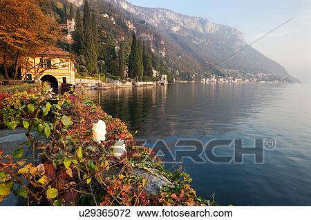 Stock Image - View of boat house of Villa Cipressi overlooking Lake Como on sunny afternoon, horsechestnut trees with autumn foliage, wall with trailing ivy and white roses, Lake Como, Northern Italy. Fotosearch