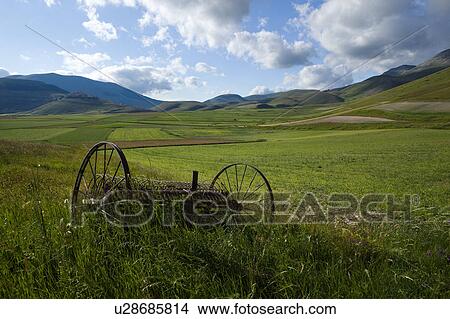Picture - View of Piano Grande Umbria, with old metal mechanised rake in foreground, fields of flowering clover, town of Casteluccio in distance, blue sky and puffy white clouds, early summer. Fotosearch