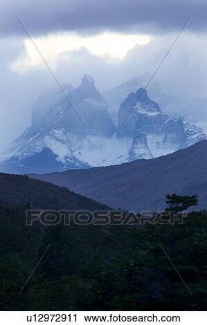 View of snow covered Los Cuernos mountains with threatening autumn sky, late afternoon, with hills and trees silhouetted in foreground, Torres del Paine, Southerm Chile, Patagonia View Large Photo Image Stock Image - View of snow covered Los Cuernos mountains with threatening autumn sky, late afternoon, with hills and trees silhouetted in foreground, Torres del Paine, Southerm Chile, Patagonia. Fotosearch