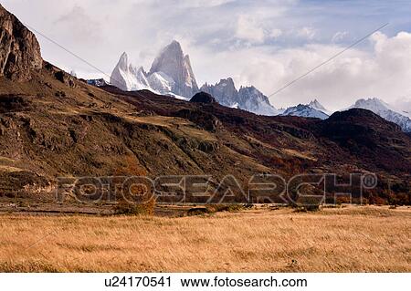 Stock Image - View of snow covered Mount Fitzroy, with foreground scrub grass in autumn colours on sunny afternoon with blue sky, El Chalten, Southern Argentina, Patagonia. Fotosearch