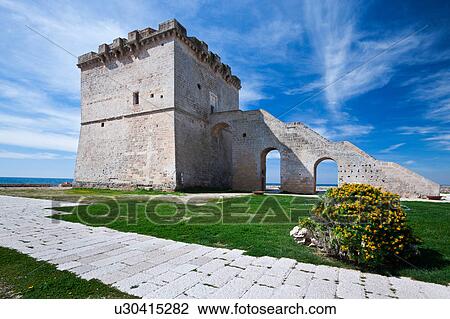 View of Torre Lapillo, 16th century tower coastline defense, with arched stairway leading to square stone tower, flowering yellow gorse bush in foreground, sunny spring morning, Salento, Puglia, Southern Italy View Large Photo Image Stock Image - View of Torre Lapillo, 16th century tower coastline defense, with arched stairway leading to square stone tower, flowering yellow gorse bush in foreground, sunny spring morning, Salento, Puglia, Southern Italy. Fotosearch