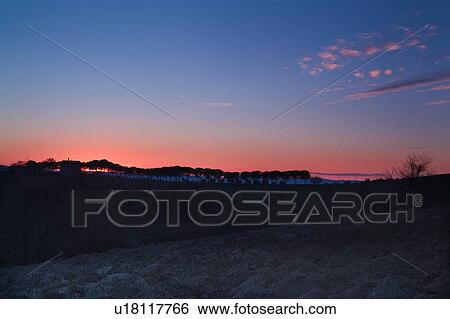 Stock Photograph - View over ploughed fields of row of pine trees and old stone farm house silhouetted on hill ridge at sunset, with pink and blue sky, Umbria, Italy. Fotosearch