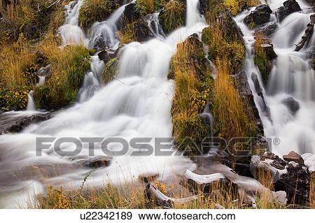 Stock Photo - Waterfall detail with grasses and plants with autumn foliage near Las Torres, Torres del Paine, Southern Chile, Patagonia. Fotosearch