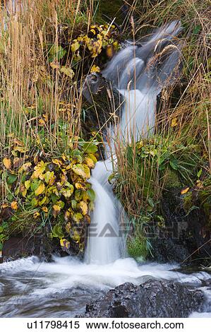 Waterfall detail with grasses and plants with autumn foliage near Las Torres, Torres del Paine, Southern Chile, Patagonia View Large Photo Image Stock Photography - Waterfall detail with grasses and plants with autumn foliage near Las Torres, Torres del Paine, Southern Chile, Patagonia. Fotosearch
