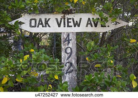 Oak View, California, USA, December 15, Oak View Avenue road sign View Large Photo Image Stock Photo - Oak View, California, USA, December 15, Oak View Avenue road sign. Fotosearch