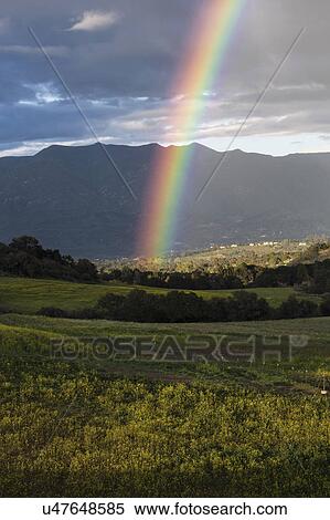 Oak View, California, USA, March 1, 2015, full rainbow over rain storm in Ojai Valley View Large Photo Image Stock Photography - Oak View, California, USA, March 1, 2015, full rainbow over rain storm in Ojai Valley. Fotosearch
