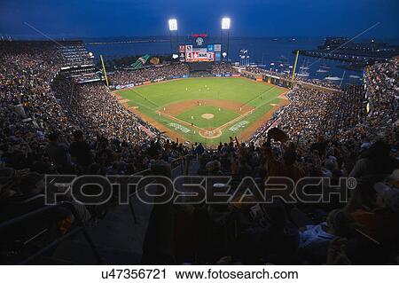San Francisco, California, USA, October 16, 2014, AT&T Park, baseball stadium, SF Giants versus St. Louis Cardinals, National League Championship Series (NLCS), crowd watches game elevated view View Large Photo Image Stock Image - San Francisco, California, USA, October 16, 2014, AT&T Park, baseball stadium, SF Giants versus St. Louis Cardinals, National League Championship Series (NLCS), crowd watches game elevated view. Fotosearch