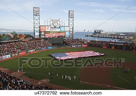 San Francisco, California, USA, October 16, 2014, AT&T Park, baseball stadium, SF Giants versus St. Louis Cardinals, National League Championship Series (NLCS), large US Flag opening ceremonies View Large Photo Image Stock Image - San Francisco, California, USA, October 16, 2014, AT&T Park, baseball stadium, SF Giants versus St. Louis Cardinals, National League Championship Series (NLCS), large US Flag opening ceremonies. Fotosearch